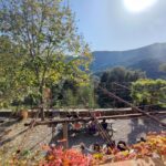 Shakty Mooni Yoga Retraite Yoga Méditation Cévennes